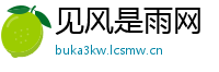 见风是雨网